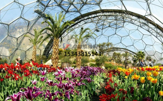 ETFE指南：如何清洗ETFE氣枕？